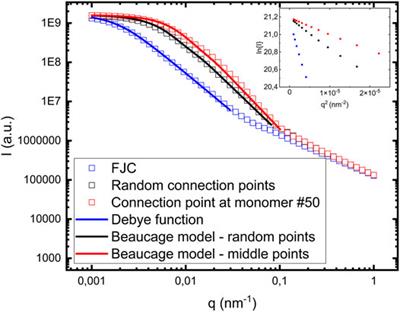 On the Cluster Formation of α-Synuclein Fibrils